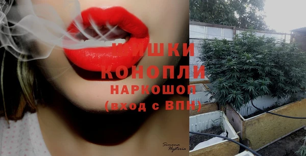 прущие грибы Болхов