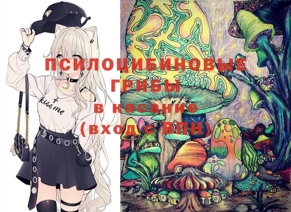 винт Надым